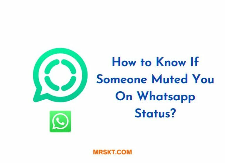 How to Know If Someone Muted You On Whatsapp Status? 2 How to Know If Someone Muted You On Whatsapp Status