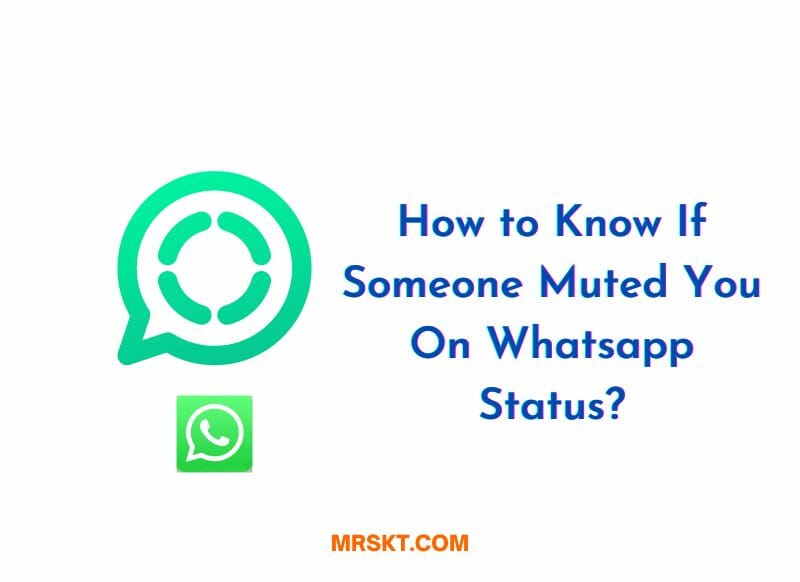 How to Know If Someone Muted You On Whatsapp Status? 1 How to Know If Someone Muted You On Whatsapp Status